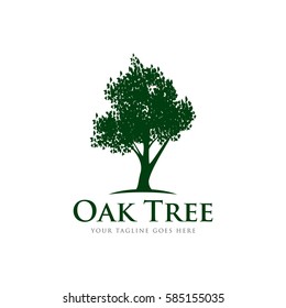 oak tree concept logo icon vector template