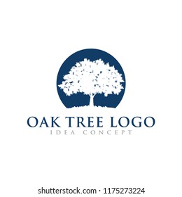 Oak Tree Concept Logo  Template 