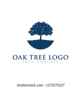 Oak Tree Concept Logo  Template 