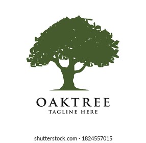 Logo Tree Activity Icon Human Life Stock Vector (Royalty Free) 1562012233