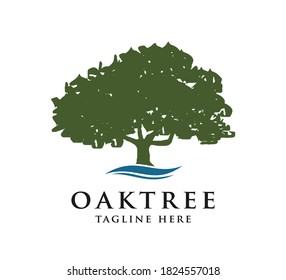 oak tree design logo concept