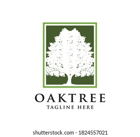 oak tree design logo concept