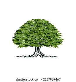 oak tree design. very suitable for real estate and construction 
