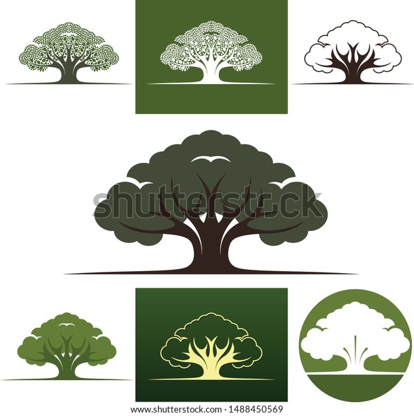 Oak Tree Drawing Logo Symbol Badge Stock Vector Royalty Free