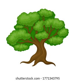 Oak Tree with Exuberant Green Foliage and Trunk Vector Illustration