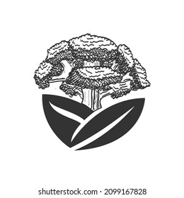 Oak tree Farm Icon Illustration Brand Identity