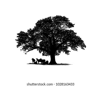 Oak Tree With Goat Cattle On The Bottom Illustration Hand Drawing Symbol Logo Vector