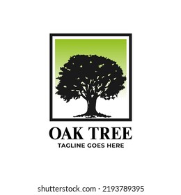 Oak tree with green background logo design template 