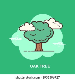 Oak tree green background with white clouds flat concept design