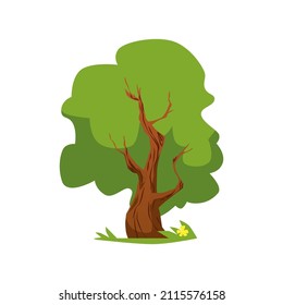 Oak tree with green leaf crown in summer season, cartoon vector illustration isolated on white background.