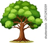 an oak tree with green leaves