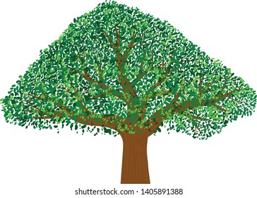 Oak tree with green leaves vector illustration