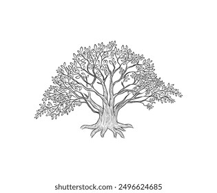 Arte de dibujo de la mano del árbol de roble para colorear libro