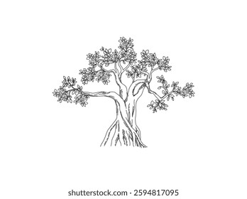 oak tree hand drawing vector line art
