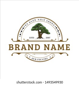 Oak Tree hand drawn logo design