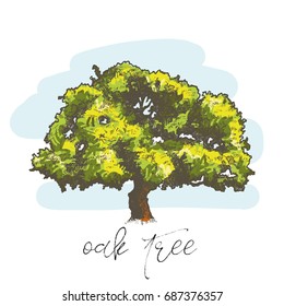 Oak tree hand drawn vector illustration