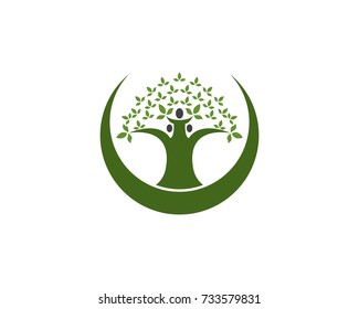 Oak tree icon concept of a stylized