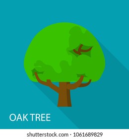 Oak tree icon. Flat illustration of oak tree vector icon for web