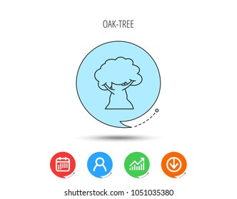 Oak tree icon. Forest wood sign. Nature environment symbol. Calendar, User and Business Chart, Download arrow icons. Speech bubbles with flat signs. Vector