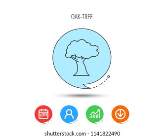 Oak tree icon. Forest wood sign. Nature environment symbol. Calendar, User and Business Chart, Download arrow icons. Speech bubbles with flat signs. Vector