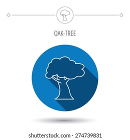 Oak tree icon. Forest wood sign. Nature environment symbol. Blue flat circle button. Linear icon with shadow. Vector