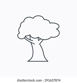 Oak tree icon. Forest wood sign. Nature environment symbol. Linear outline icon on white background. Vector