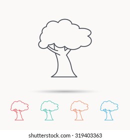Oak tree icon. Forest wood sign. Nature environment symbol. Linear icons on white background. Vector