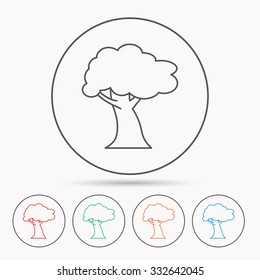Oak tree icon. Forest wood sign. Nature environment symbol. Linear circle icons.