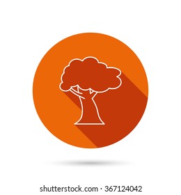 Oak tree icon. Forest wood sign. Nature environment symbol. Round orange web button with shadow.