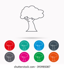 Oak tree icon. Forest wood sign. Nature environment symbol. Linear icons in circles on white background.