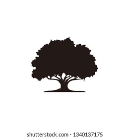Oak tree icon isolated on white background svg
