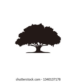 Oak tree icon isolated on white background