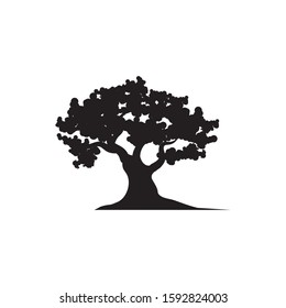 Oak Tree icon Vector Illustration design Logo template