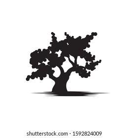 Oak Tree icon Vector Illustration design Logo template