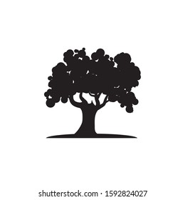 Oak Tree icon Vector Illustration design Logo template