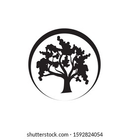 Oak Tree icon Vector Illustration design Logo template