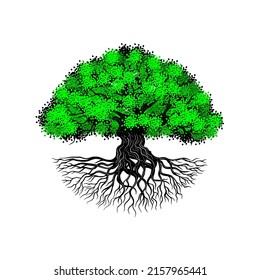 oak tree illustration. with a circular shape.
