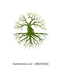 Oak tree illustration icon logo. a modern vector template