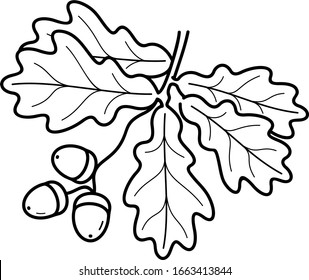 Árbol de roble. Símbolo del estado de Iowa. Icono de contorno del vector.