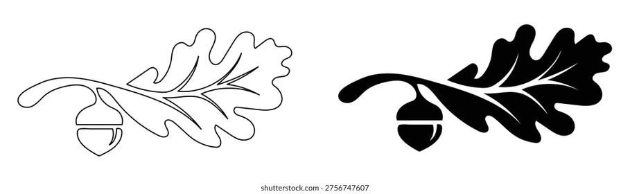 oak tree leaf acorn branch nature autumn forest element