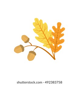 Oak Tree Leaf And Acorns As Autumn Attribute
