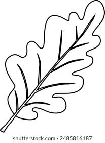 Oak tree leaf autumn decoration.