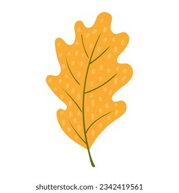 Oak tree leaf in autumn hand drawn illustration. Cartoon style flat design, isolated vector. Kids autumn, fall print, seasonal plant element, woodland, park, outdoors, nature
