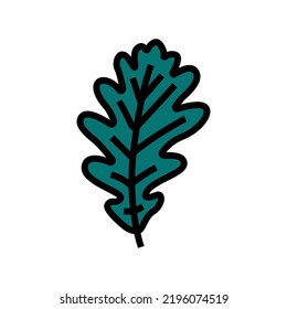 oak tree leaf color icon vector. oak tree leaf sign. isolated symbol illustration