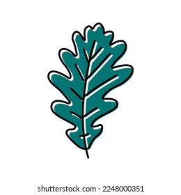 oak tree leaf color icon vector. oak tree leaf sign. isolated symbol illustration