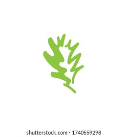 Oak tree leaf icon illustration vector
