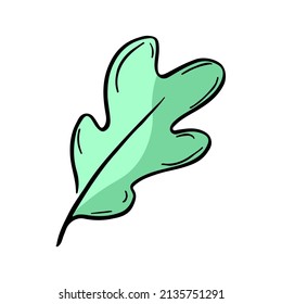 Oak tree leaf nature sketch icon. Leaves botany vector hand drawn element. Doodle illustration symbol
