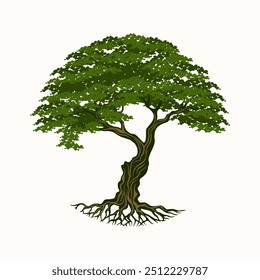 Árvore de carvalho Folha Raiz Árvore familiar Carvalho Banyan Maple Stamp Emblem Label vintage estilo logotipo design vetor