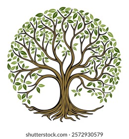 Oak Tree, Leaf Root, Family Tree, Banyan, Maple, symbolize beauty, growth, strength, health, and life.