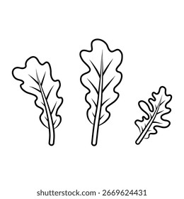Hoja de roble con tallo y venas arte lineal. Ilustración de hojas de contorno en blanco y negro para colorear. 